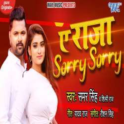 Ae Raja Sorry Sorry Poster