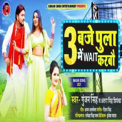 Chhauri 3 Bje Pula Me Wait Karbau Poster