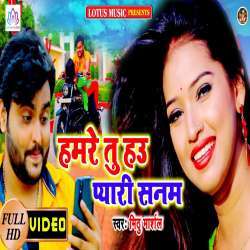 Hamre Hau Tu Payari Sanam Poster