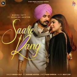 Saare Rang Poster