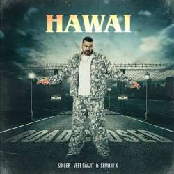 Hawai Veet Baljit Poster