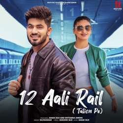12 Aali Rail Poster