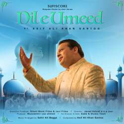 Dil E Umeed Poster