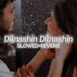 Dilnashin Dilnashin Slowed Reverb Poster