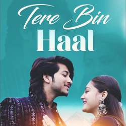 Tere Bin Haal Poster