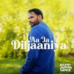 Aa Ja Diljaaniya Poster