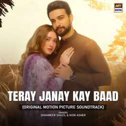 Taray Janay Kay Baad Poster