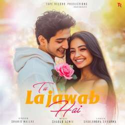 Tu Lajawab Hai Poster